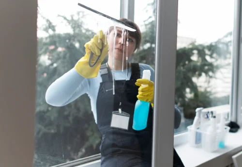 Nettoyage de vitres intérieures et extérieures à Pinterville